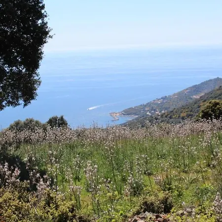 Paomia Σπίτι διακοπών *