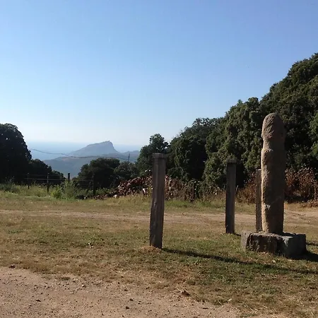 Paomia Сasa de vacaciones