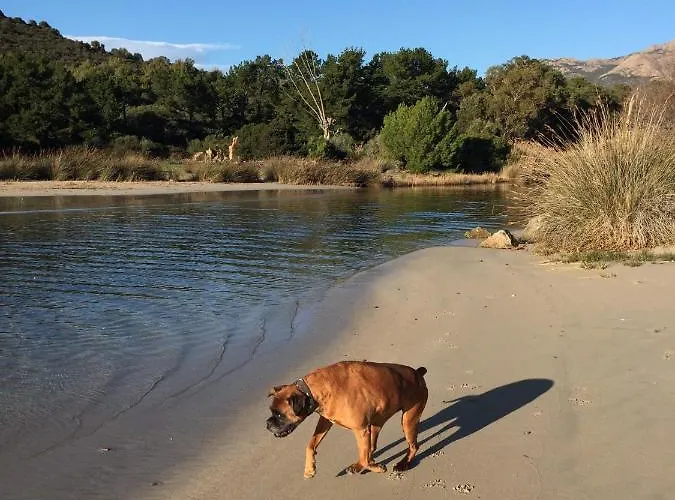 Ferienhaus Paomia Cargèse